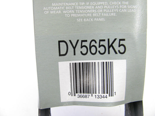 Evergard 565K5 Alternator & Power Steering Belt - 04-05 VW Passat 2.0 TDI DIESEL