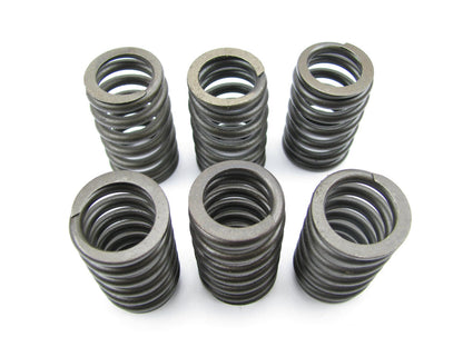 (6) Federal RV1170 Intake Valve Springs - 1976-1997 Buick V6 196 231 3.8L 252