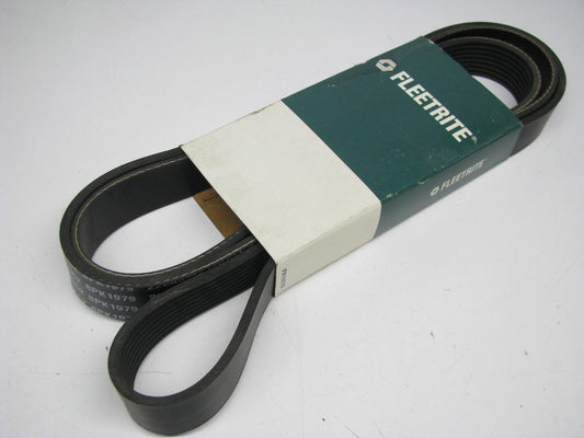 Fleetrite 3625293C2 Serpentine Belt