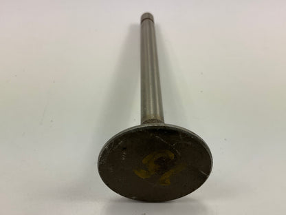 NEW - OEM Ford C6AZ-6505-L Engine Exhaust Valve .015'' For 1966-1968 289-V8