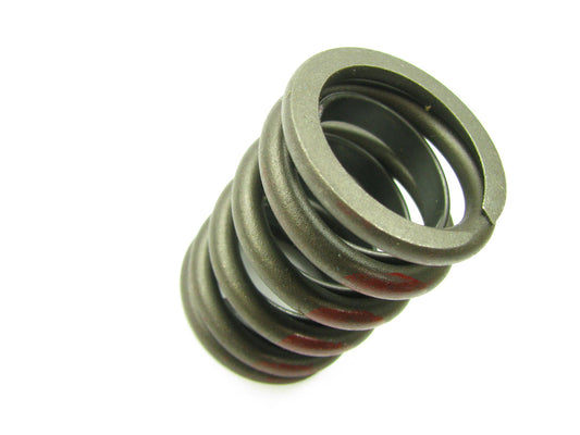 (5) NEW - OEM Ford E4DZ-6513-A Engine Valve Spring 1982-1988 3.8L