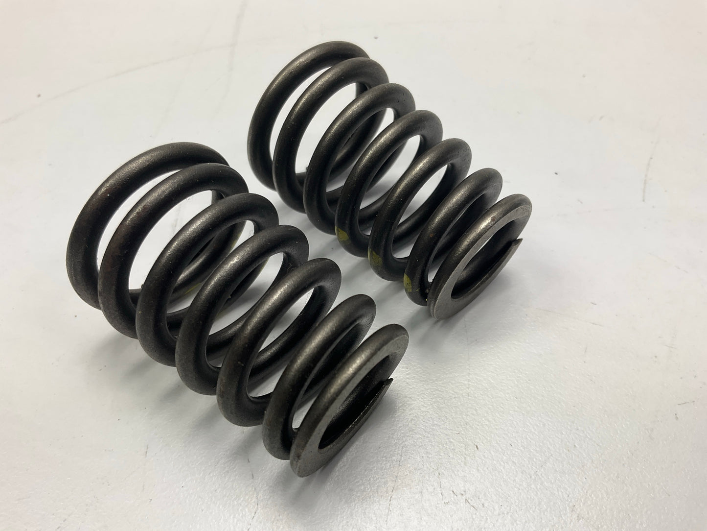 (8) NEW - OEM Ford F7CZ-6513-AA Engine Valve Springs - 97-02 Escort, 00-04 Focus