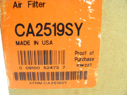 Fram CA2519SY Air Filter Replaces 42553 A63271 LAF3708 AF572 AF1724 PA2308