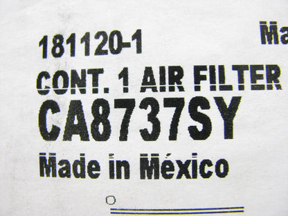 (2) Fram CA8737SY Air Filter Replaces 46569 LAF4545 AF25485 P829333 88569 RS3545