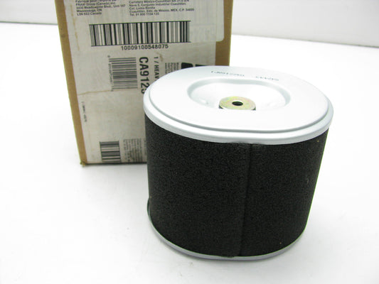 Fram CA9125 Air Filter Replaces PA3957 AF2422 AF2422