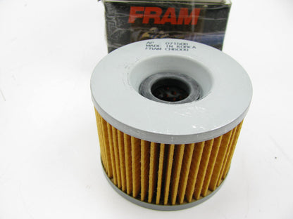 Fram CH6009 Motorcycle Engine Oil Filter