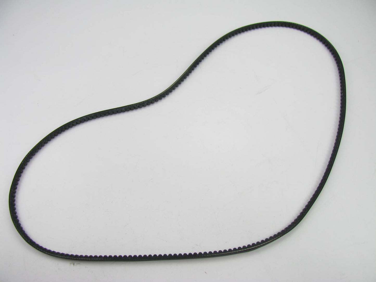Gates 10A1675 Accessory Drive Belt - 10mm X 1675mm - 36 Degree