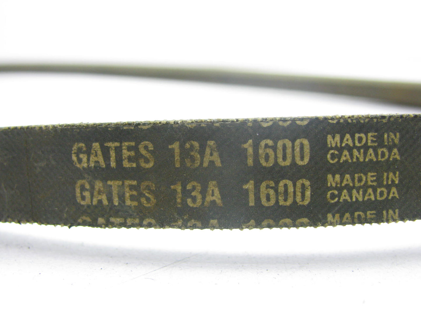 Gates 13A1600 Accessory Drive Belt - 0.50'' X 63'' - 36 Degree