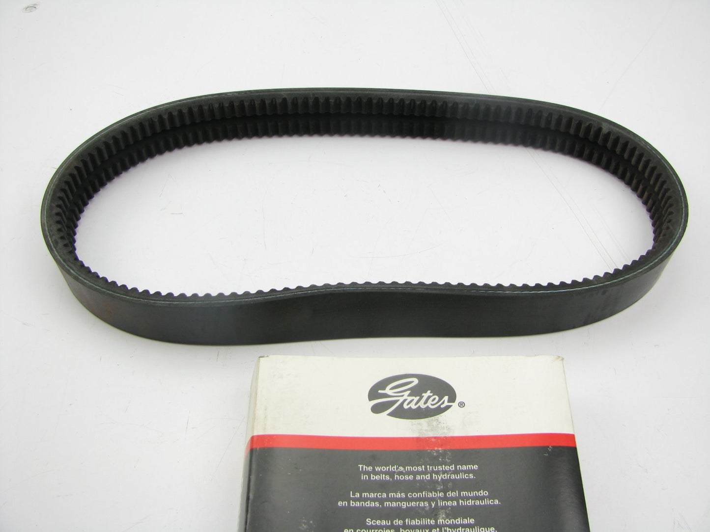 Gates 29305PB Accessory Drive Belt 1 - 1/8'' X 31 -1/2''