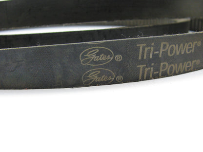 Gates BX116 Industrial Cogged Accessory Drive Belt - 21/32'' X 119''