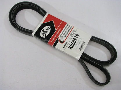 Gates K060919 Serpentine Belt