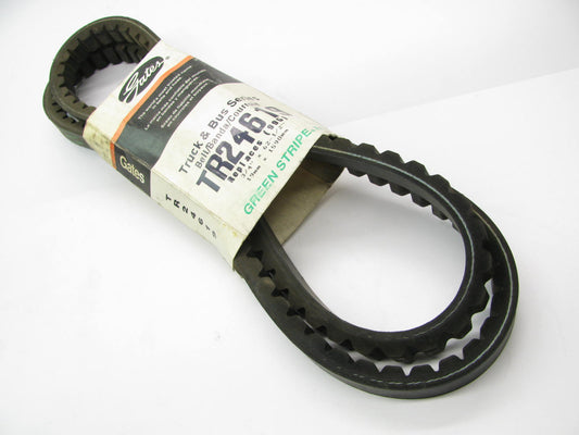 Gates TR24619 Accessory Drive Belt - 0.75 X 62.50'' - 38 Degree
