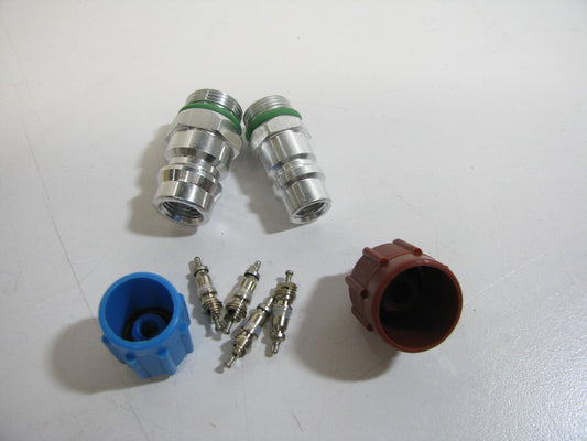 Global Parts 1311573 A/C System Valve Core And Cap Kit