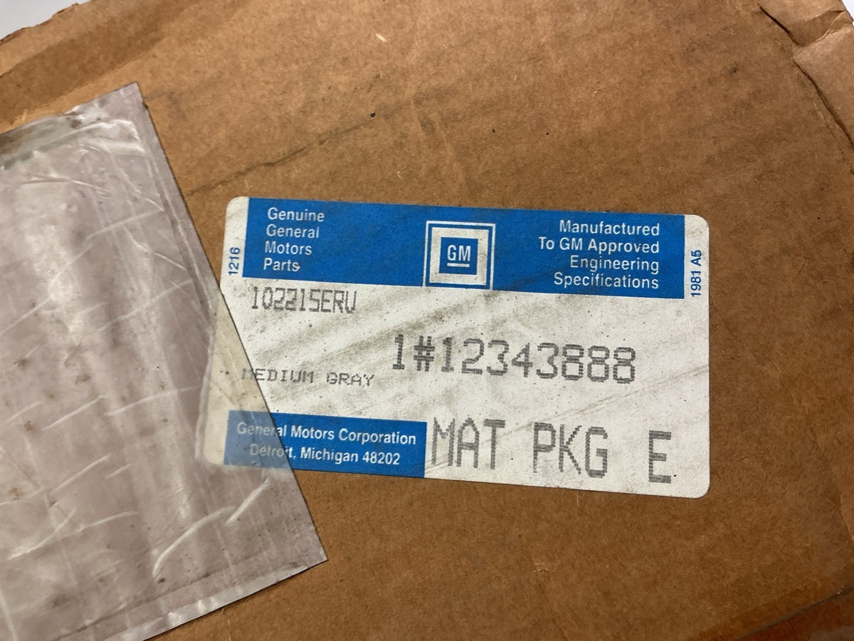 NOS OEM GM 12343888 Rear Gray Floor Mats 2-piece Carpet Set - 1993-1995 Firebird