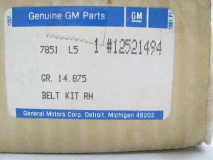 NEW OEM GM Right Seat Belt Buckle 12521494 92-96 Silhouette, Trans Port, Lumina