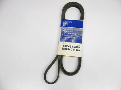 OEM GM Serpentine Belt-Multi-V  24575894