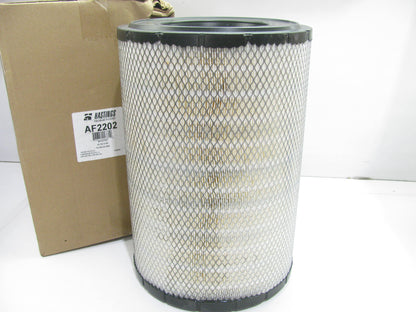 Hastings AF2202 Air Filter Replaces RS3506 AF25129M A65003 46607 6607 88607
