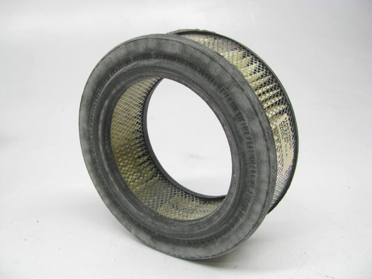 Hastings AF2220 Air Filter Replaces 42724 2724 C1427 87724