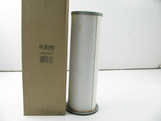 Hastings AF2301 Air Filter Replaces CA6672SY 46516 A64501 LAF1923 P132939 A1447C