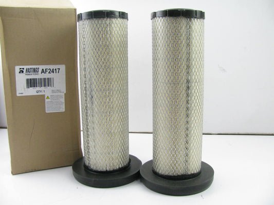 (2) Hastings AF2417 Air Filter Replaces 46923 6923 LAF6923 P613335 RS5329