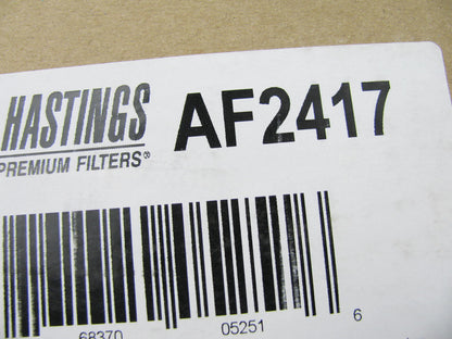 (2) Hastings AF2417 Air Filter Replaces 46923 6923 LAF6923 P613335 RS5329