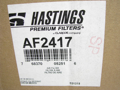 Hastings AF2417 Air Filter Replaces CA10981SY 46923 AF2417 AF25963 P613335