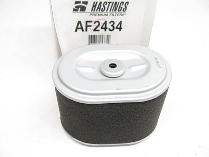 Hastings AF2434 Air Filter Replaces 42323 AF25472 PA4820 87323 2323