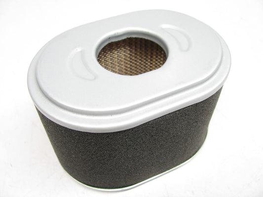 Hastings AF2434 Air Filter Replaces 42323 AF25472 PA4820 87323 2323