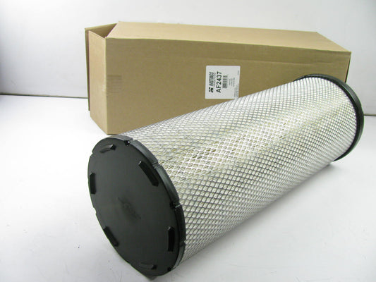 Hastings AF2437 Air Filter Replaces 42313 2848 AF26208 P781102 RS4629 P781399