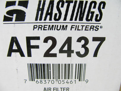 Hastings AF2437 Air Filter Replaces 42313 2848 AF26208 P781102 RS4629 P781399