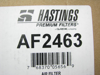 (2) Hastings AF2463 Air Filter Replaces CA10029SY 49782 LAF4602 AF26398 P782107