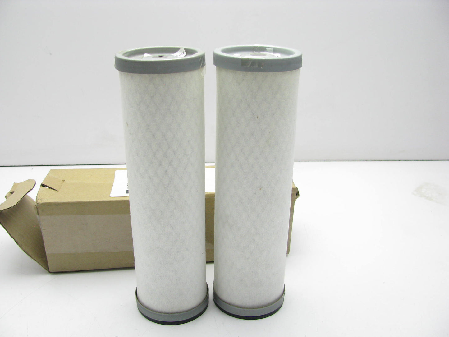 (2) Hastings AF586 Air Filters CA2565SY 46333 A43400 LAF3707 AF1766