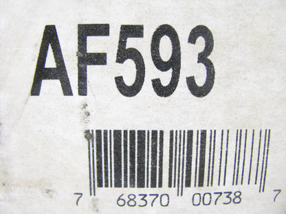 Hastings AF593 Air Filter Replaces CAK7107 46566 A65080 P526840 A852C LAF4169