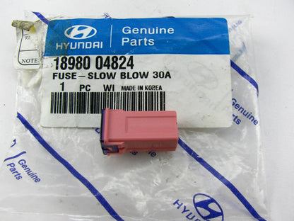 NEW GENUINE Slow Blow 30-AMP 30A Fuse OEM For Hyundai 1898004824