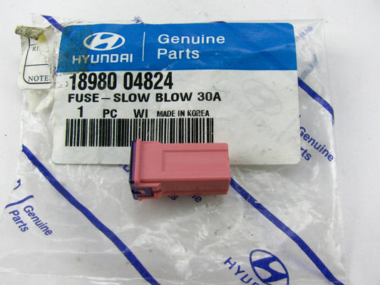 NEW GENUINE Slow Blow 30-AMP 30A Fuse OEM For Hyundai 1898004824