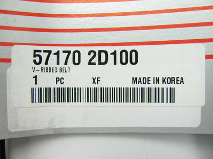New V-ribbed Power Steering Drive Belt OEM For 01 Hyundai Elantra 2.0 571702D100