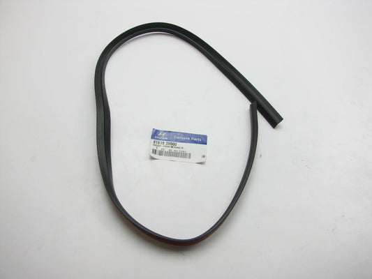 PANORAMIC SUNROOF Rear Glass Front Weatherstip Seal OEM For 2012-2017 Azera