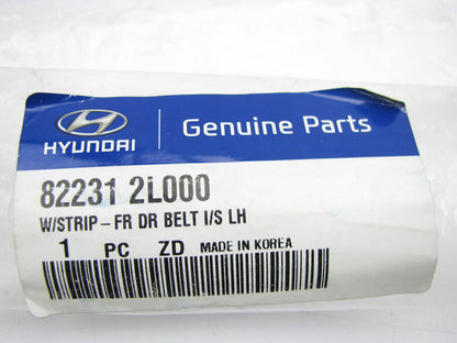 NEW Front Left Door Window Belt Weatherstrip Seal OEM For 2009-12 Elantra WAGON