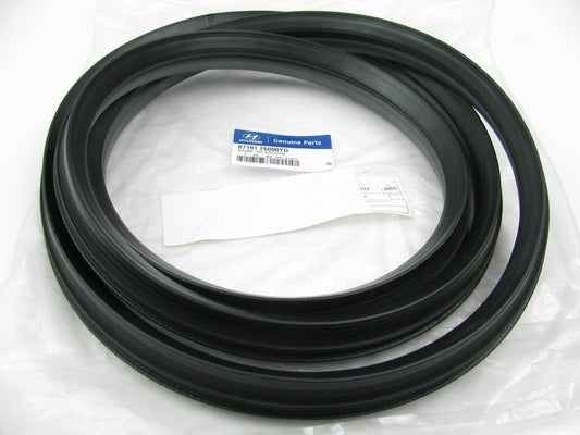 NEW Rear Tailgate Back Glass GRAY Weatherstrip Seal OEM For 2002-2006 Santa Fe