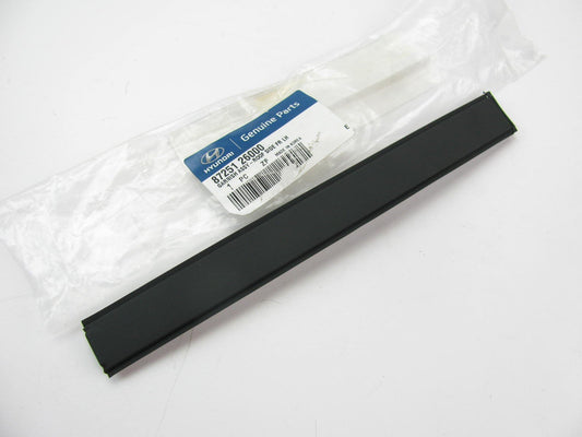 Front Left Drivers Side Roof Rack Moulding OEM For 2001-2006 Hyundai Santa Fe