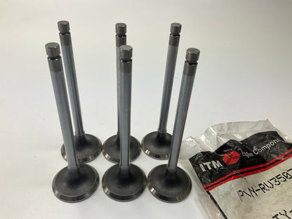 (6) ITM RV35031 Engine Intake Valve