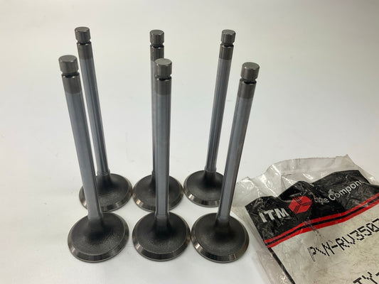 (6) ITM RV35031 Engine Intake Valve