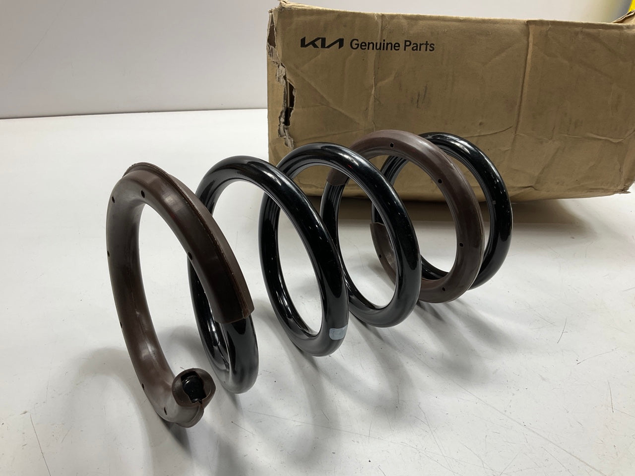 NEW OEM 553504D201-DS Rear Coil Spring For 2006-2014 Kia Sedona