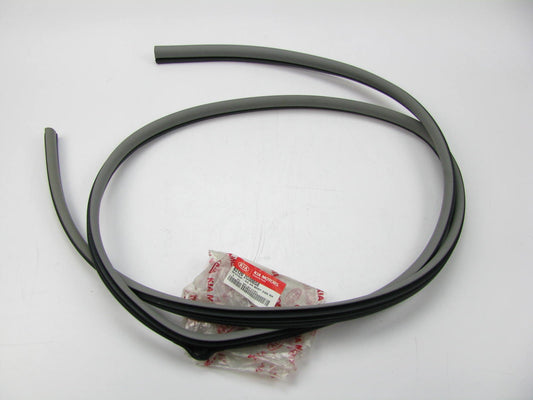 Rear Right Passengers Side Door Seal, Gray OEM For 06-10 Kia Optima 831202G000S8