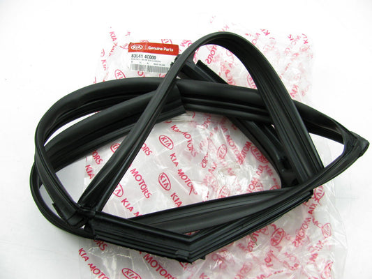 REAR RIGHT Window Glass Run Channel Guide Weatherstrip Seal OEM For 11-15 Optima