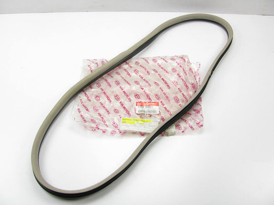 NEW 878484D000CS REAR RIGHT Window Weatherstrip Seal OEM For 06-14 Kia Sedona