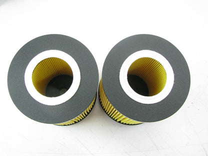 (2) Luberfiner LP5979 Oil Filter Replaces CH10857 51370 L36048 LF557 LF16043