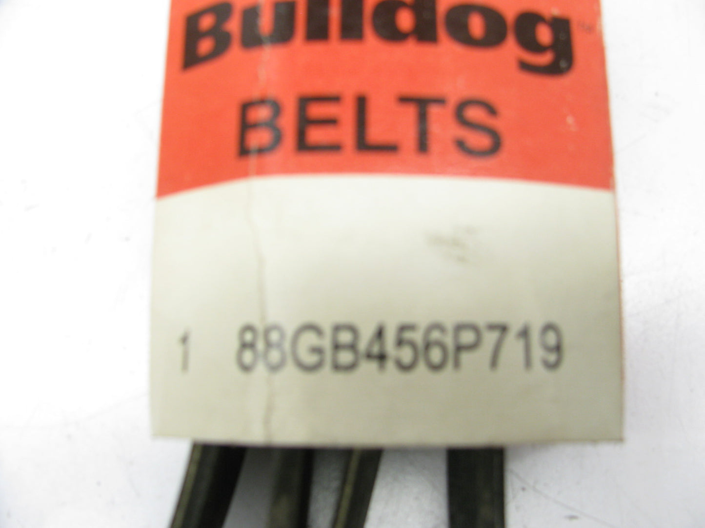 Mack 88GB456P719 Serpentine Belt Replaces Gates K100719