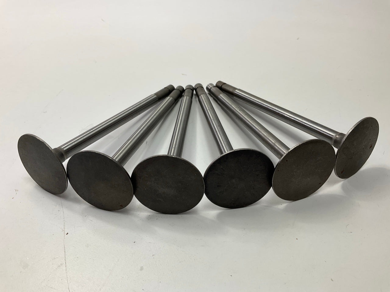 (6) Manley S1646 Engine Intake Valve For Continental F209 209 F244 244 F2644