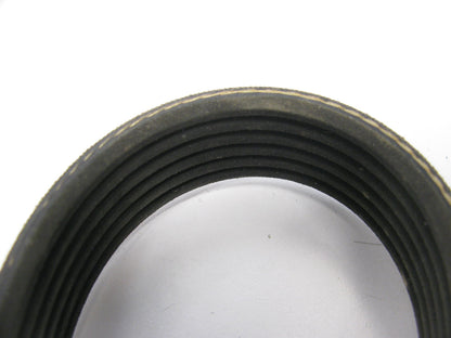 Motorcraft JK6-534 Serpentine Belt - 0.84'' X 53.00'' - 6 Ribs